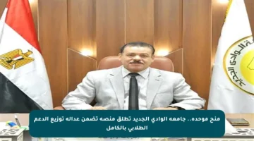 منح موحدة.. جامعة الوادي الجديد تطلق منصة تضمن عدالة توزيع الدعم الطلابي بالكامل